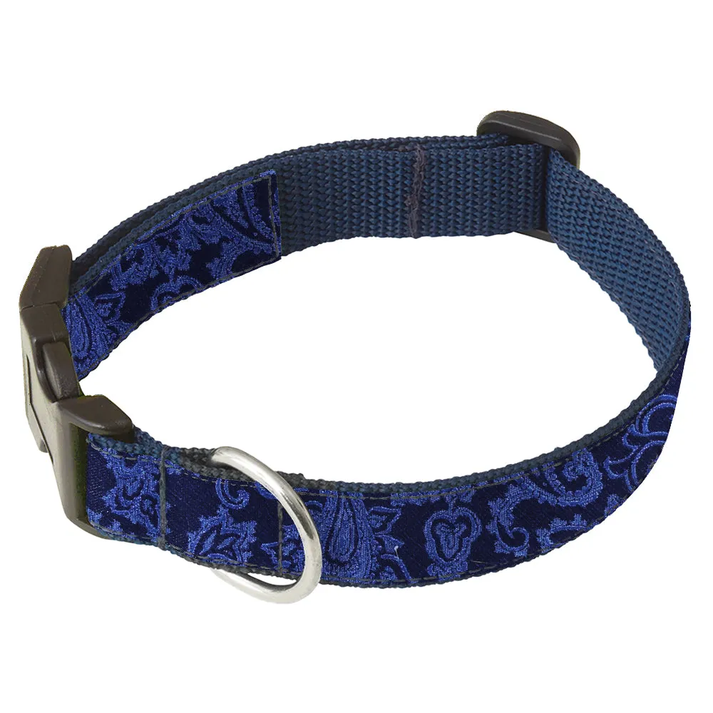 Bernstein - Dog Collar
