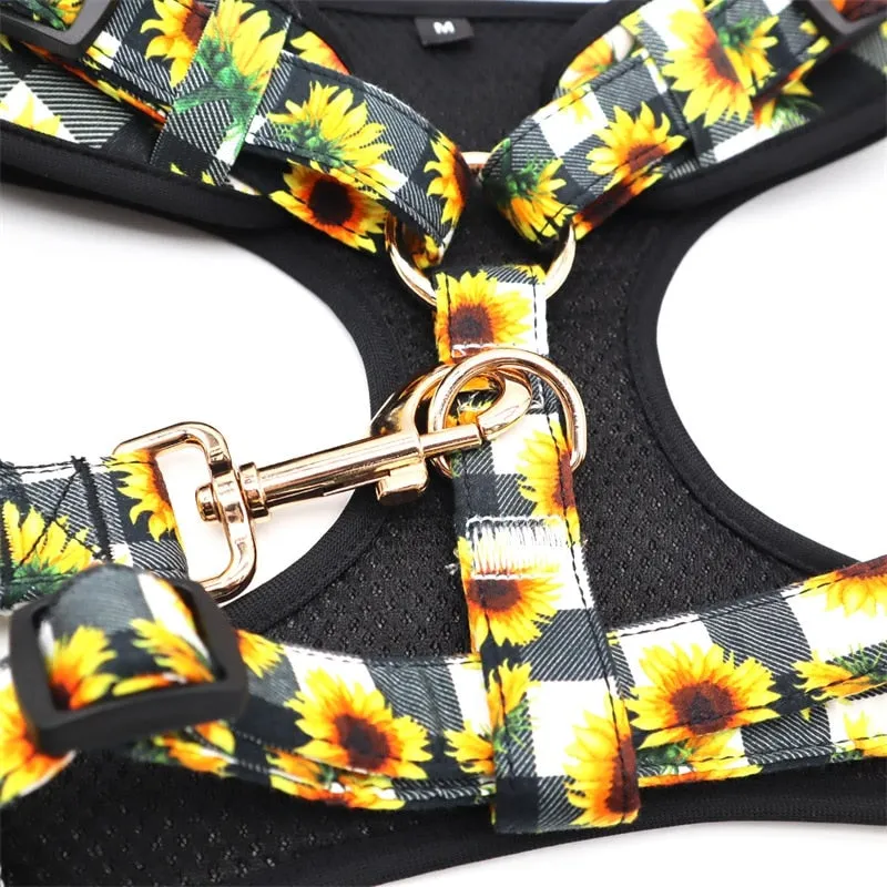 Blooming Sunflowers: Personalized SET