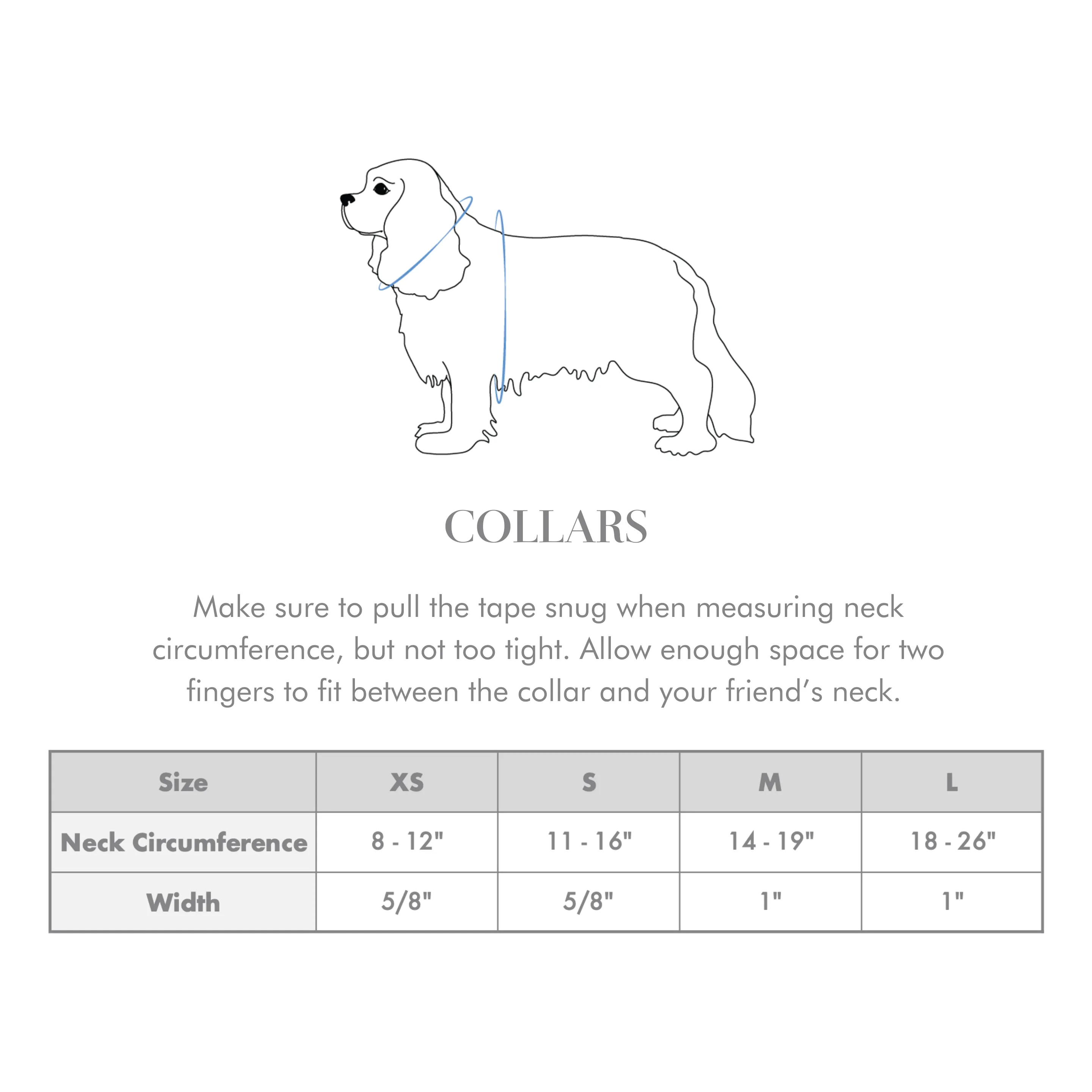 Rose Blossom Windowpane Classic Dog Collar