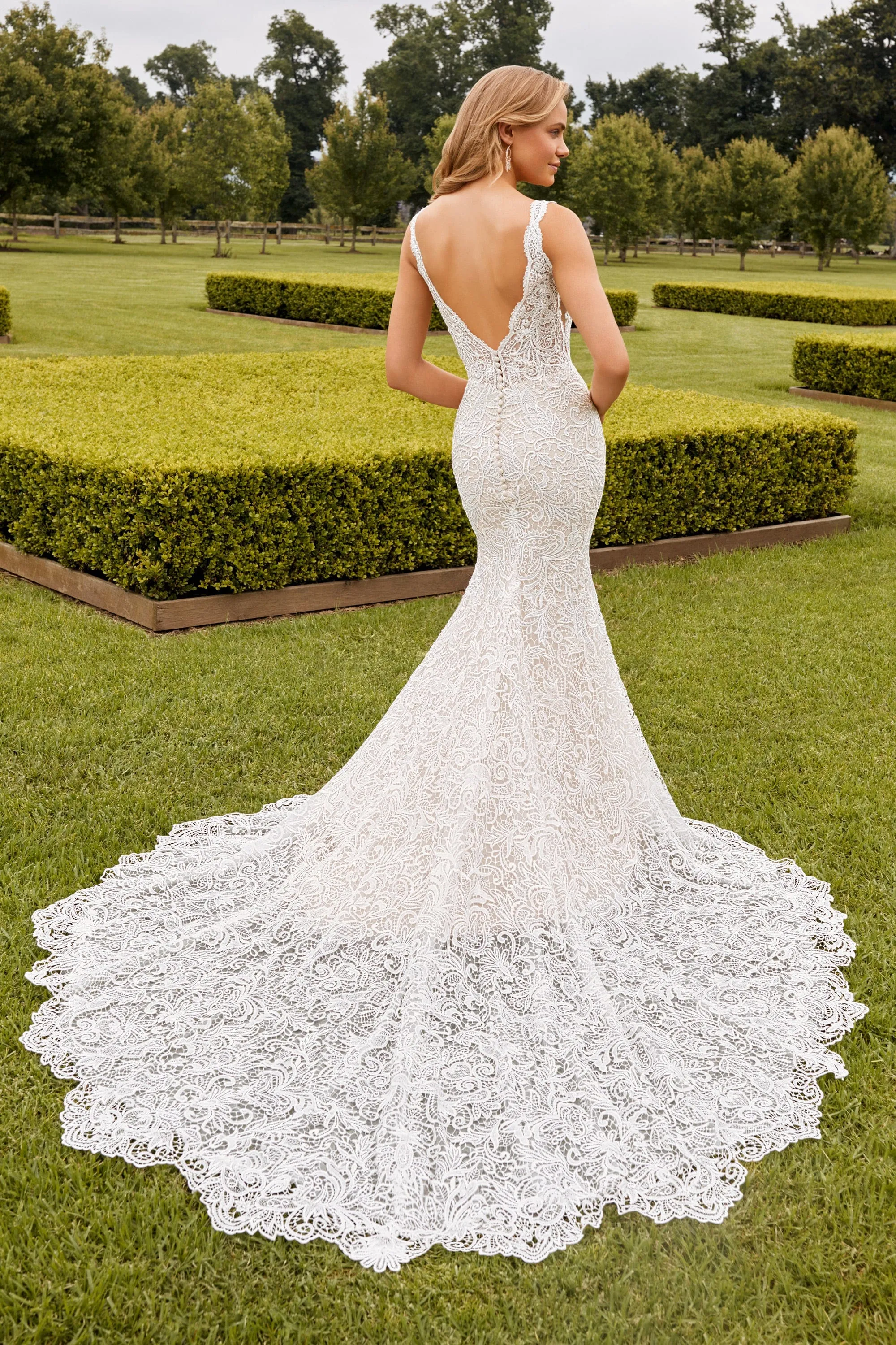 Sophia Tolli: Y22272 - Frankie